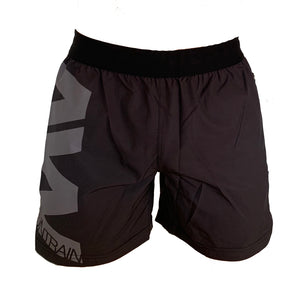 Open image in slideshow, 5&quot; train Shorts
